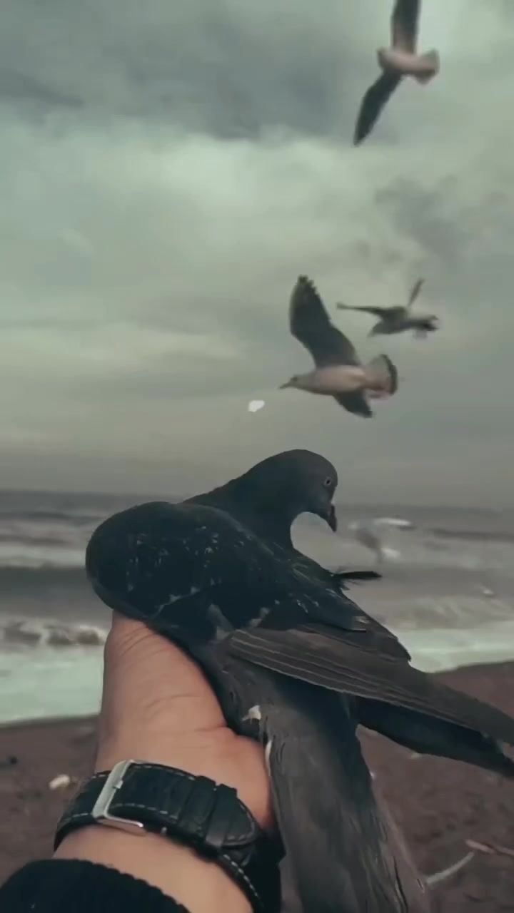 @Rəşad.Z