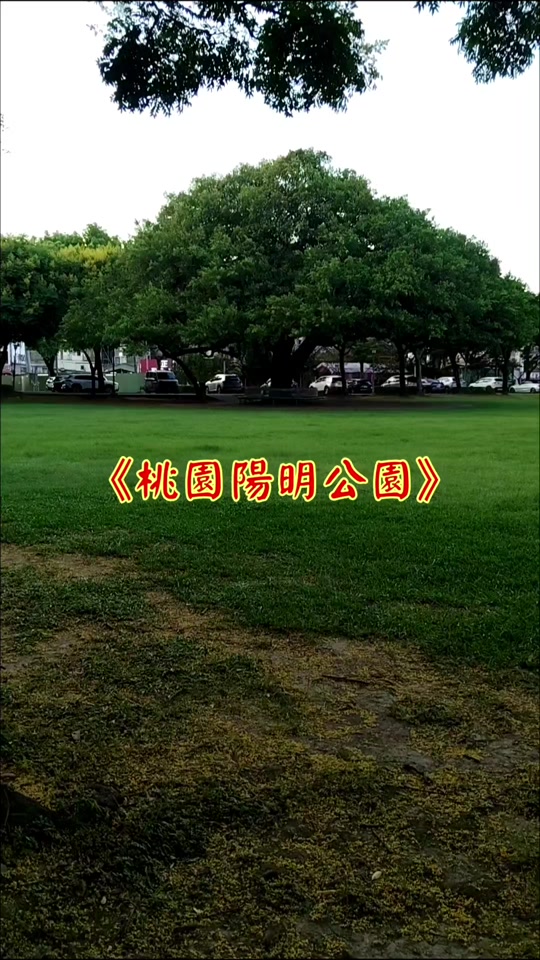 @雞不叫也天亮