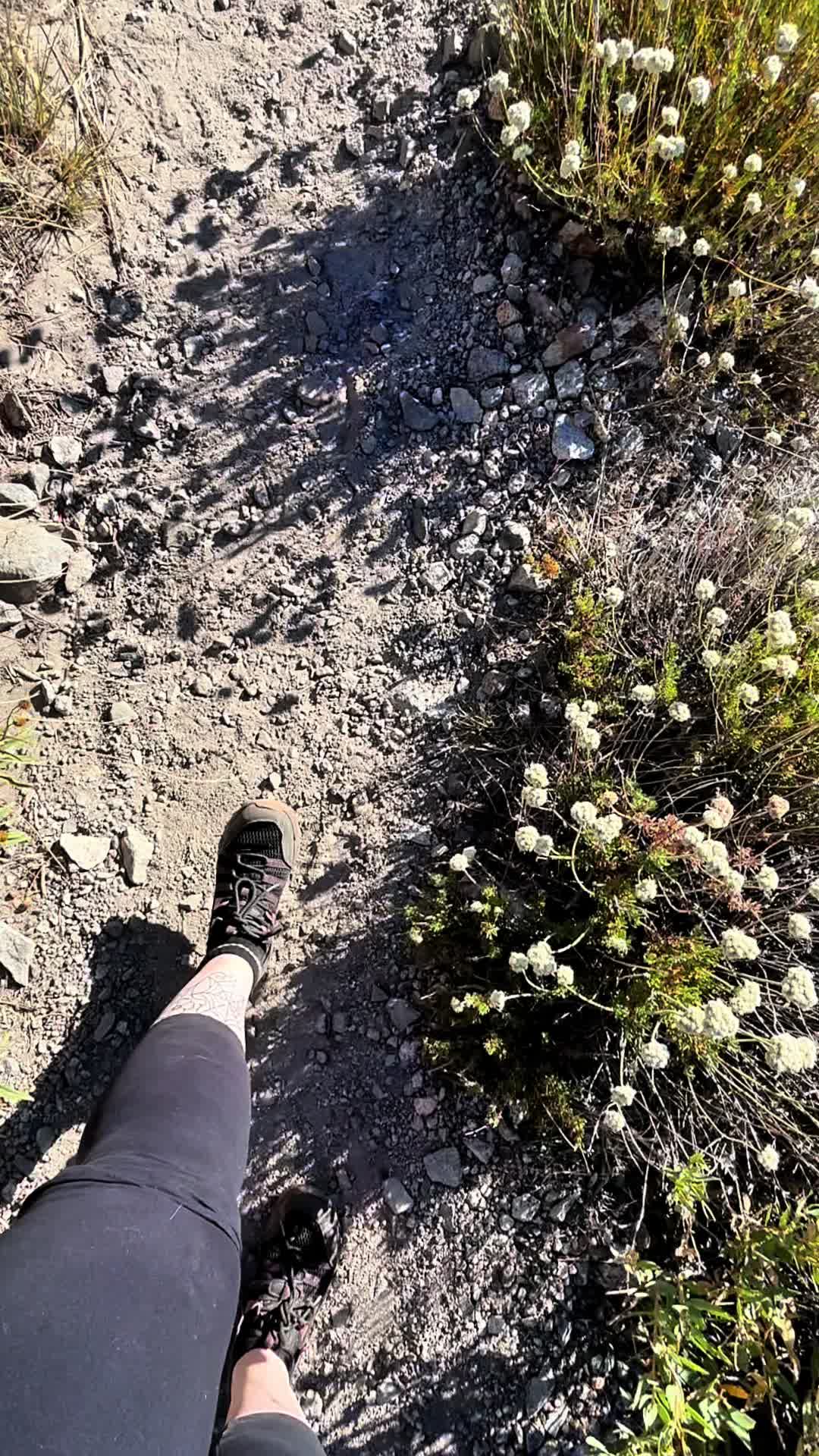 @Cris⛰️🌲