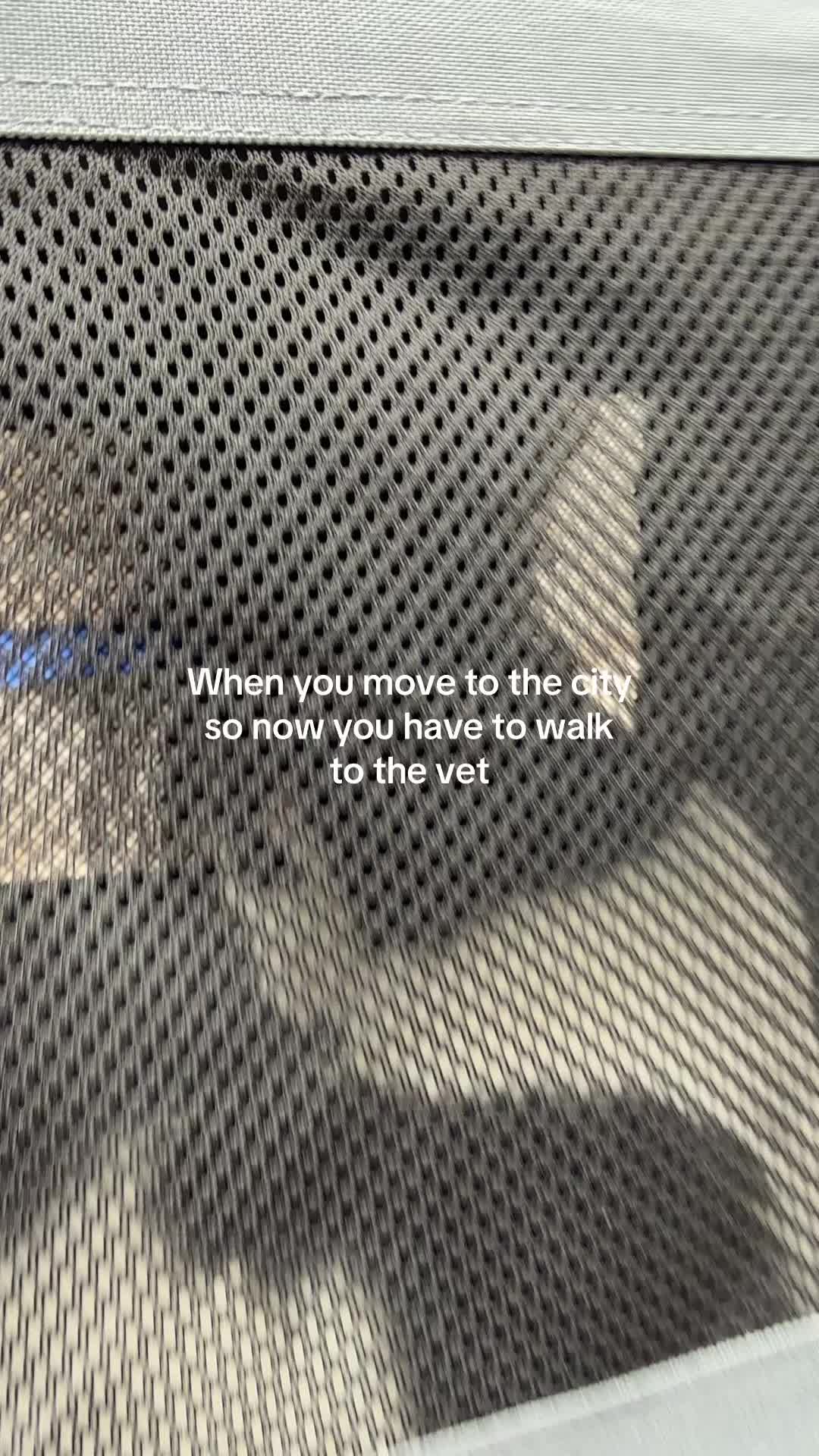 @Vanessa Cherry