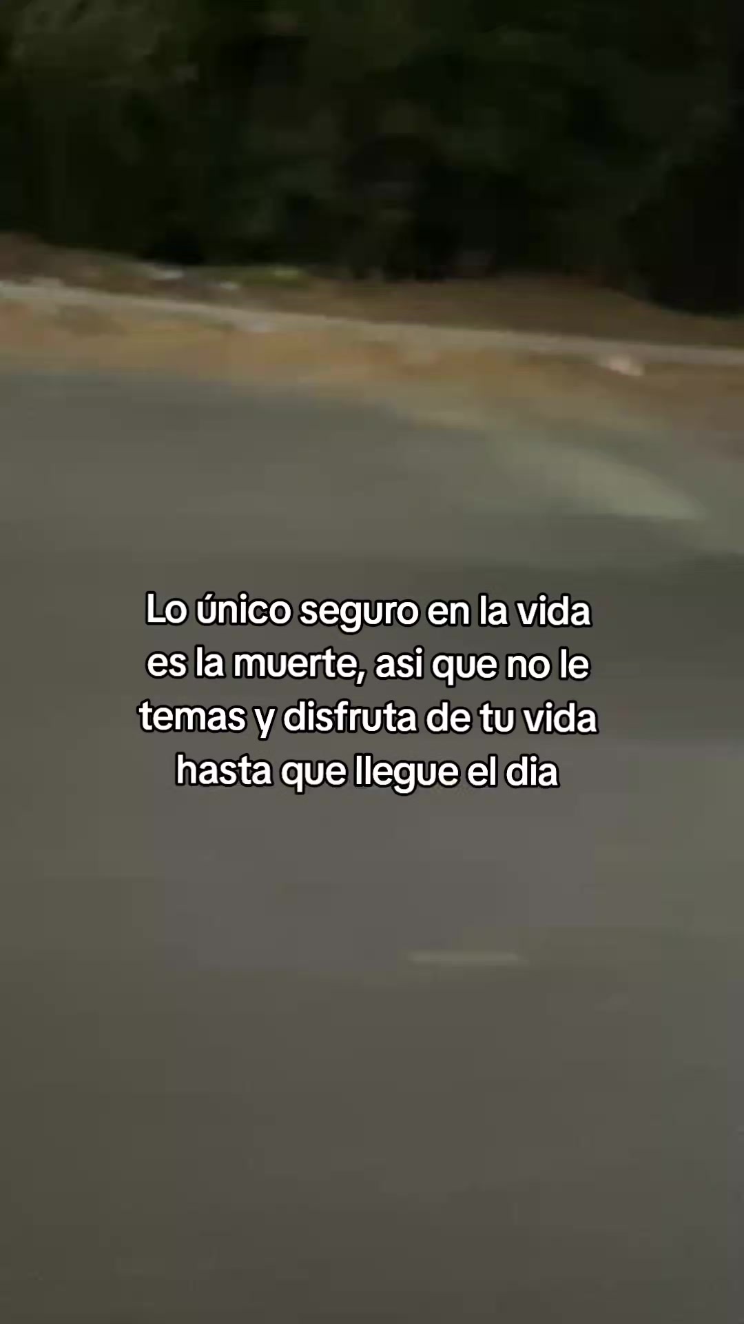 @SAUL 🕸👾
