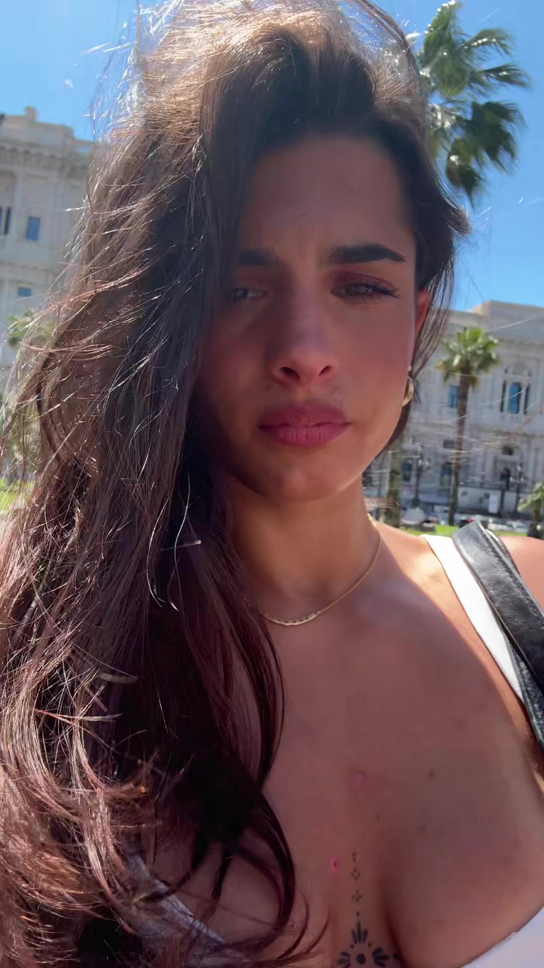 @Absolutlyavi