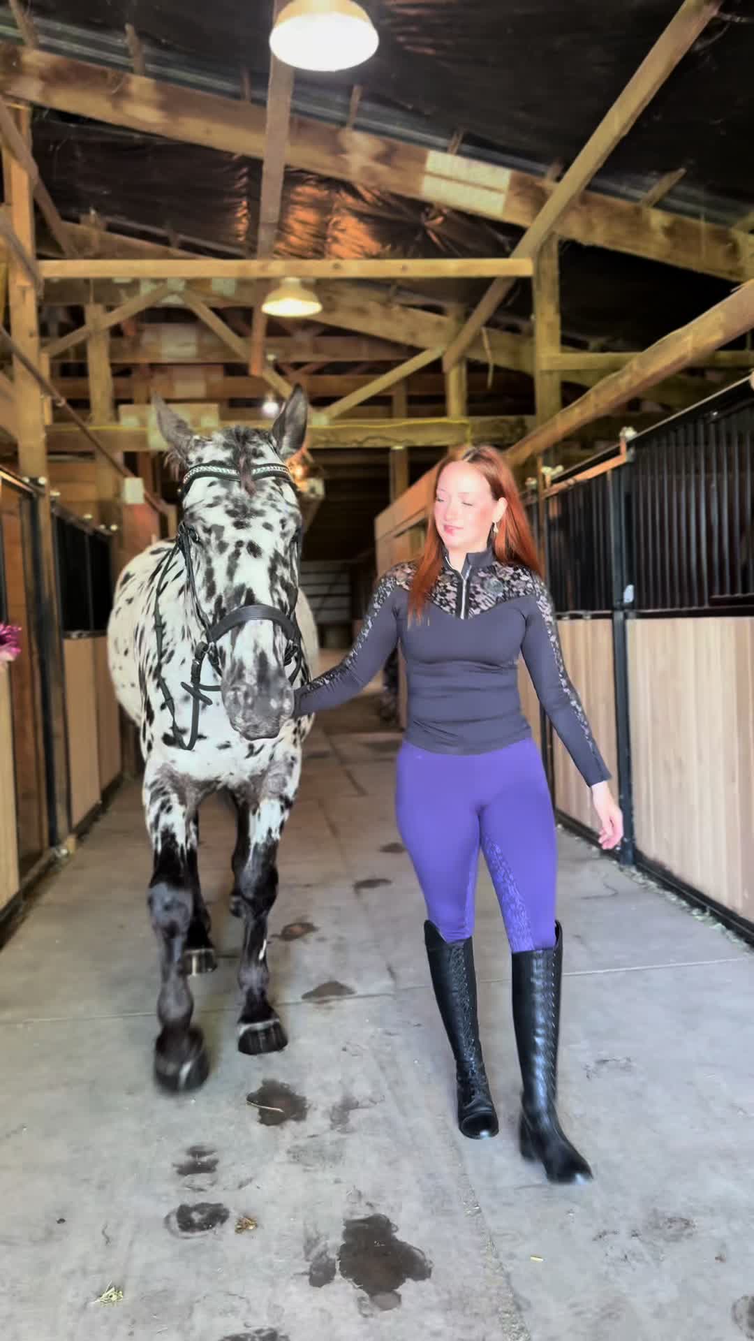 @Free Spirit Equestrian