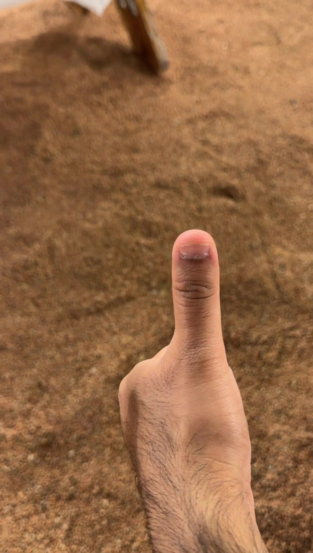 @ابو حصه 🐰