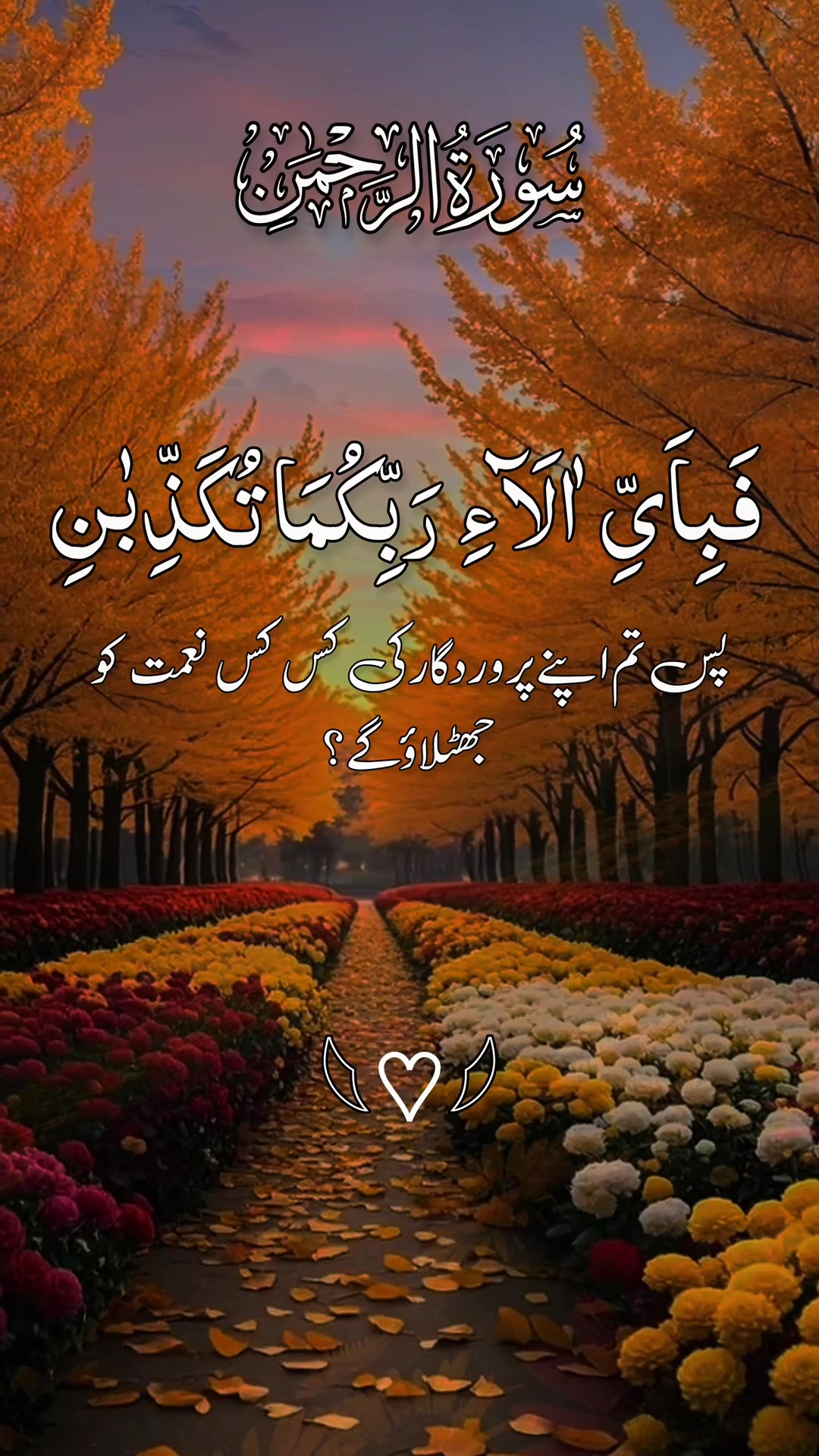 @❣️ Words of Allah ❣️