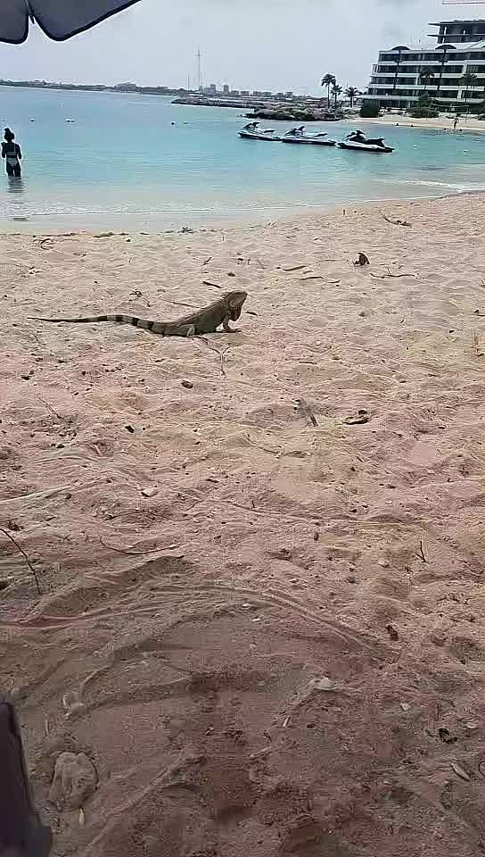 @Kavita Ramsaroop🇬🇾🇸🇽