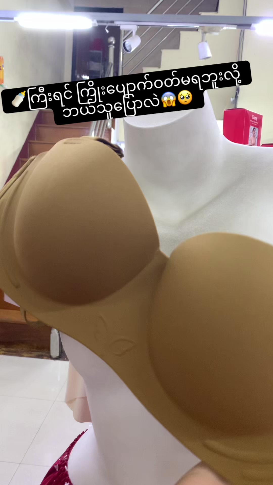 @Cozy Bra and Underwear 👙
