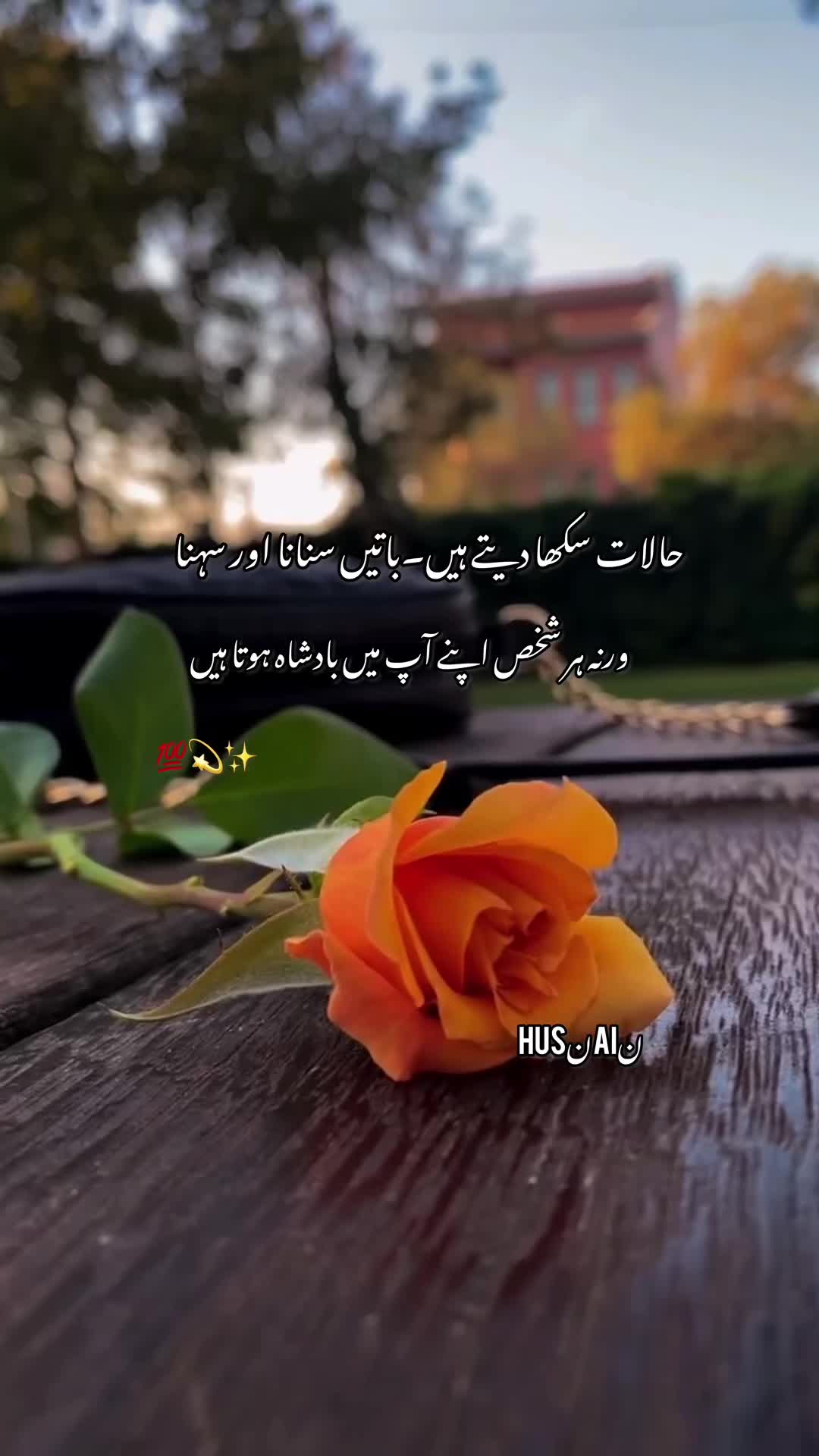 @خان بادشاہ 🥷🏾