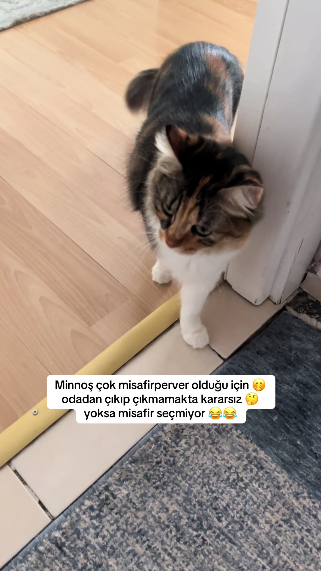 @konusankediminnos