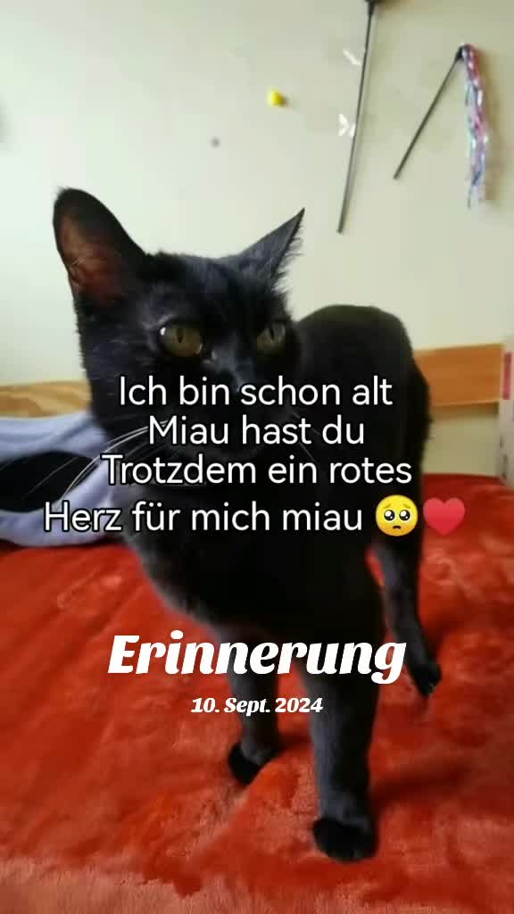 @juli🇩🇪🇺🇸🇷🇺