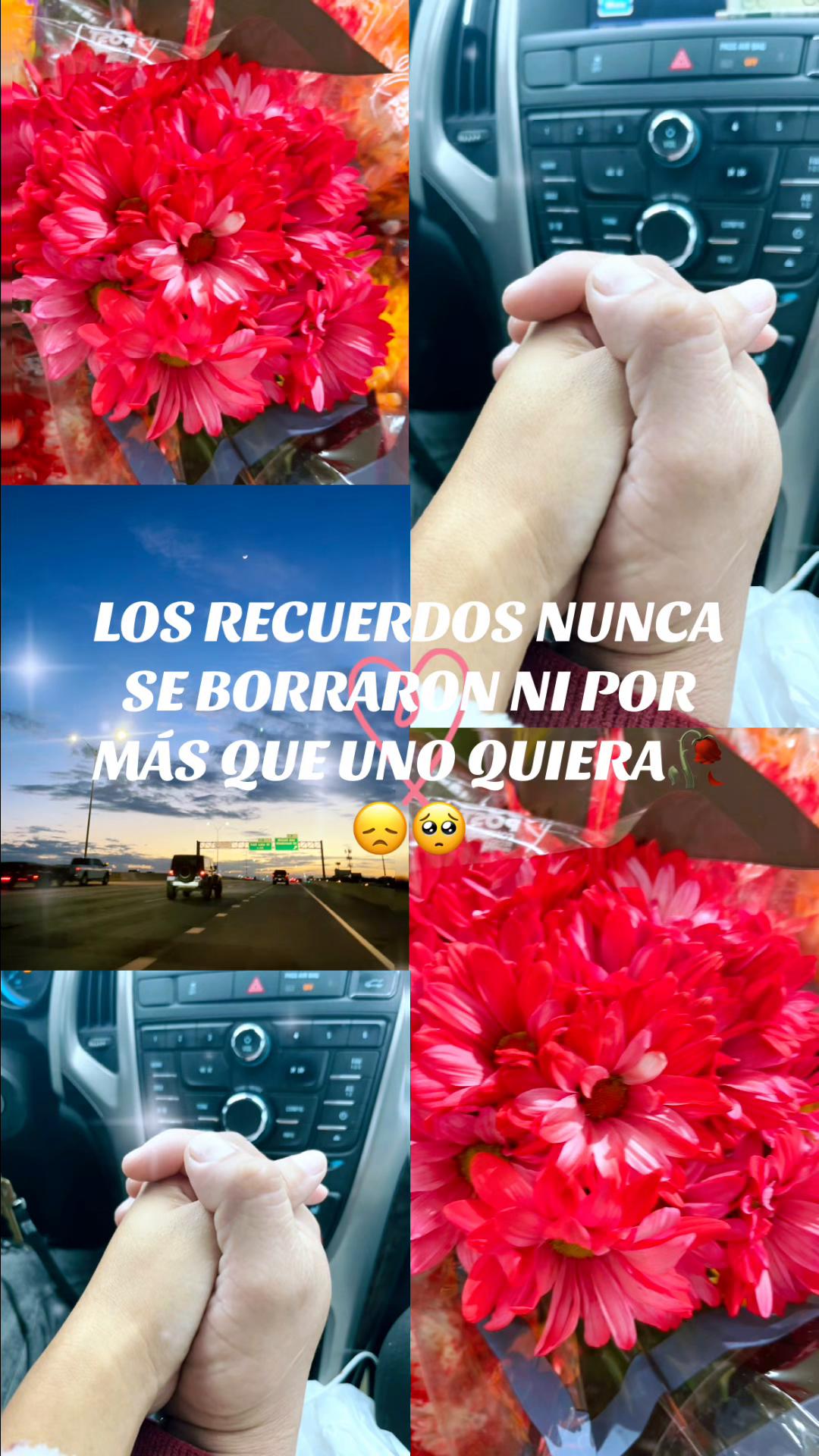 @Rosales🌹🌙☀️
