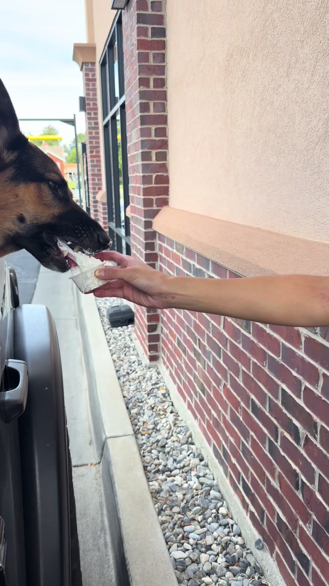 @Rory The Not-Working GSD