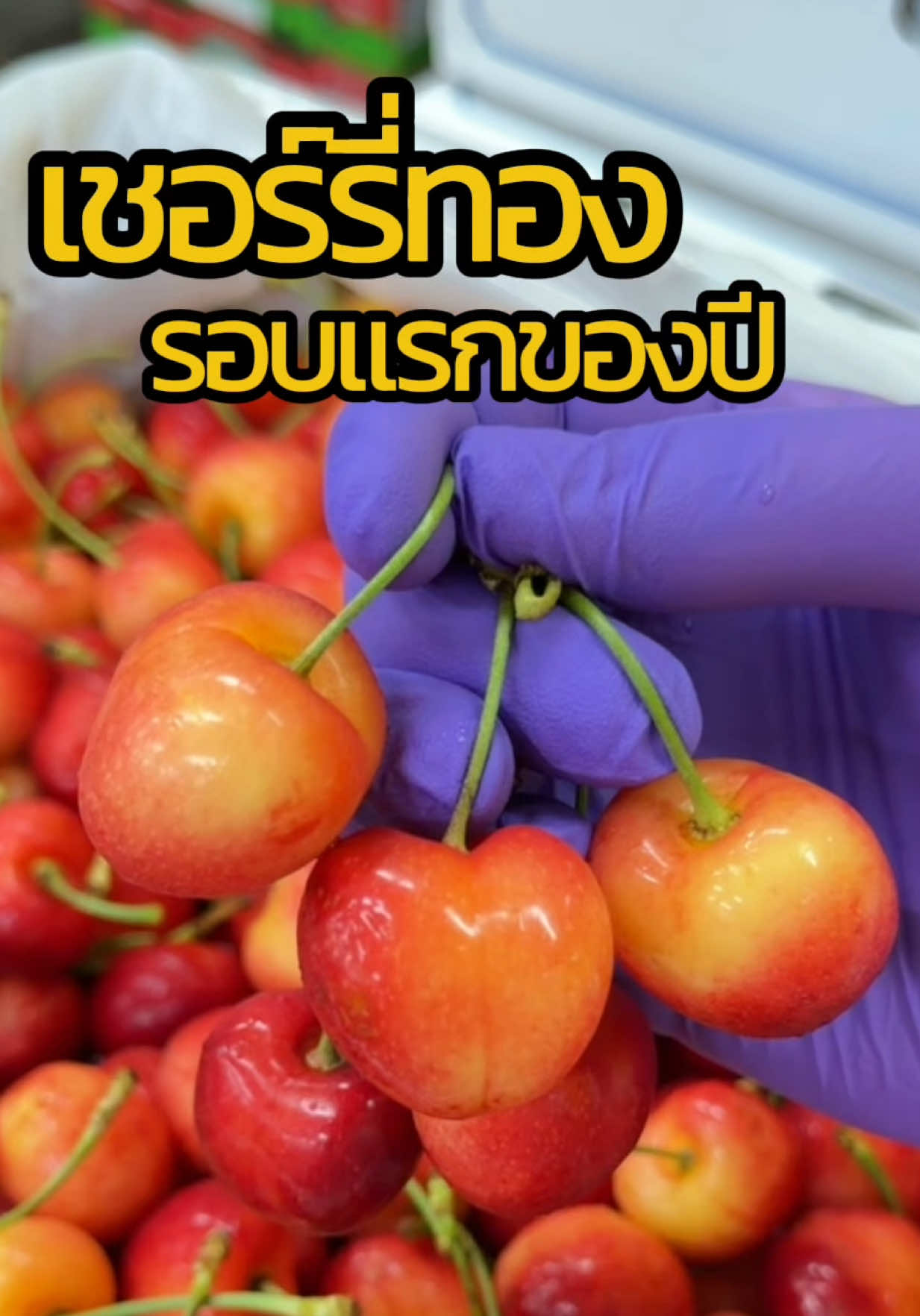 @Madame Fruit ผลไม้ต่างประเทศ