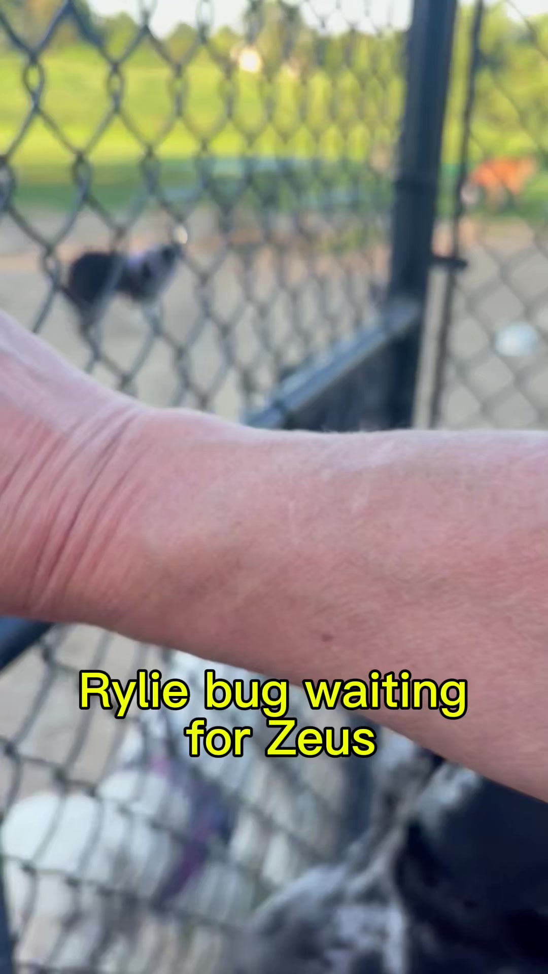 @Zeus