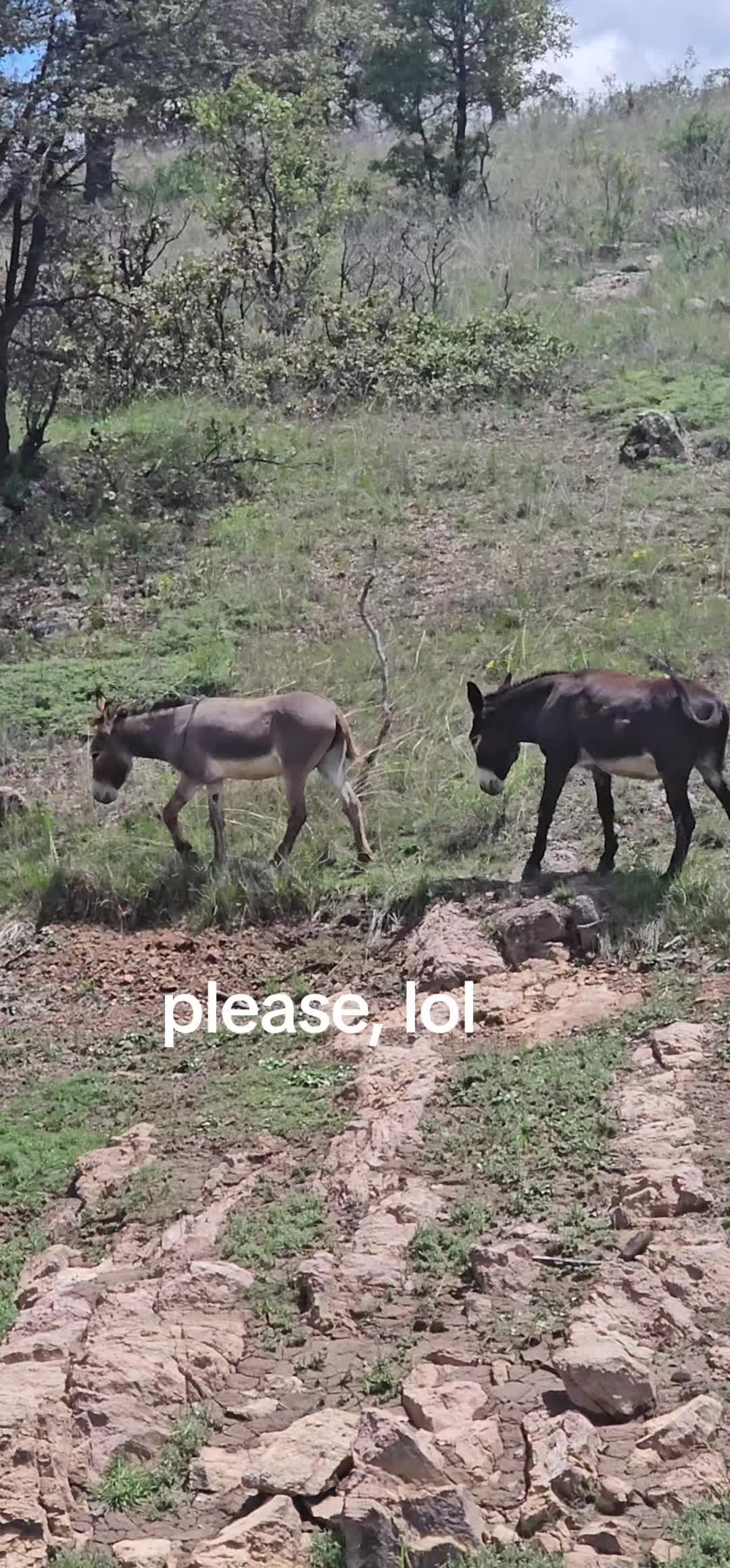 @memohuerta