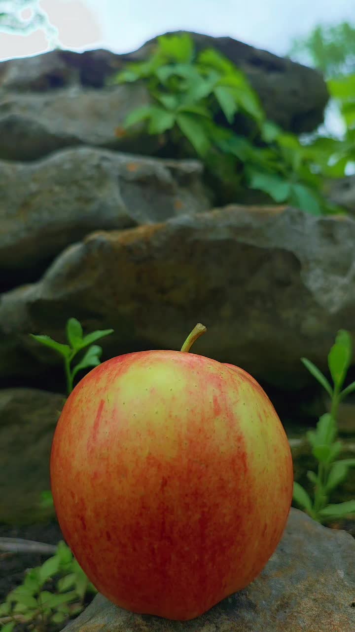 @Apple