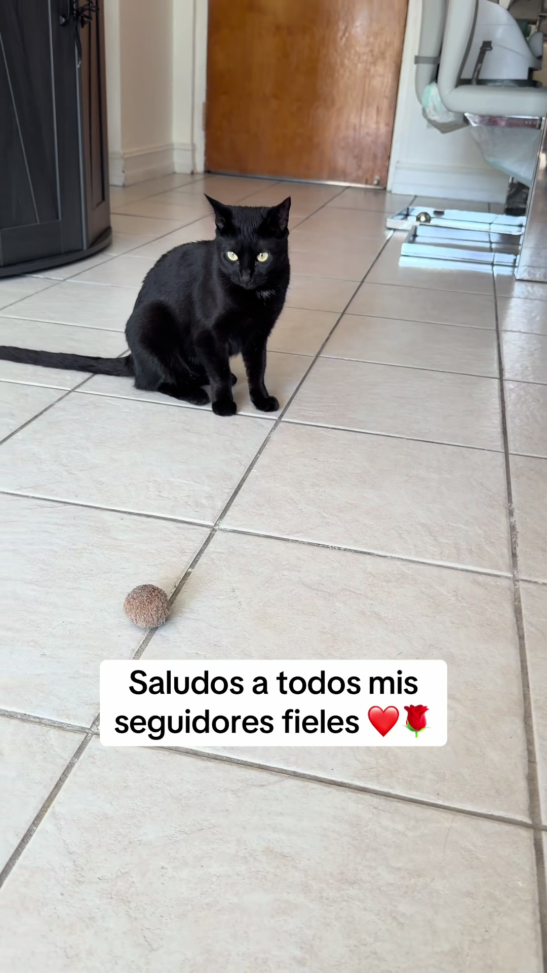 @I&rsquo;m Kitty 🐈&zwj;⬛