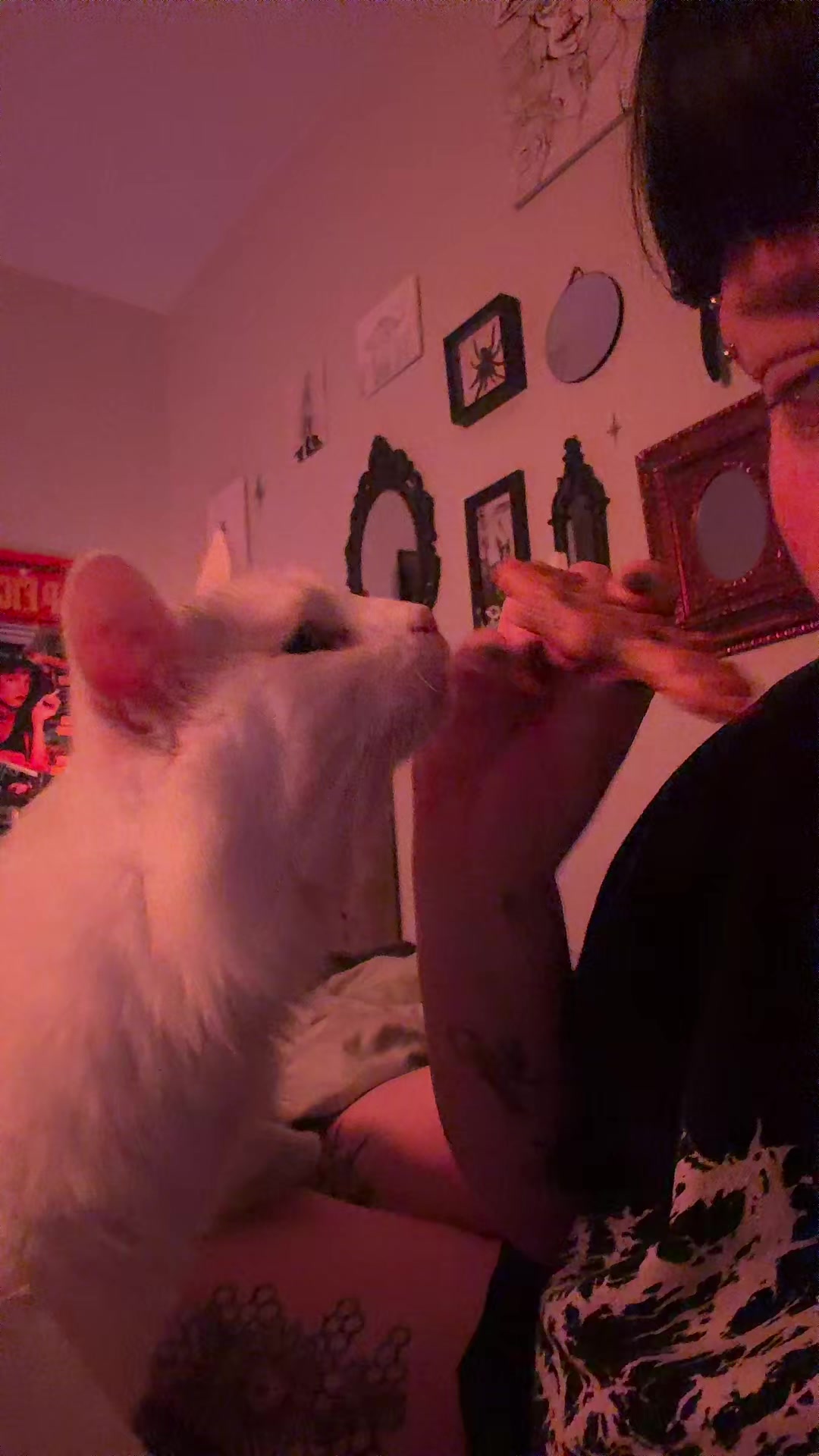 @cannabisqween420