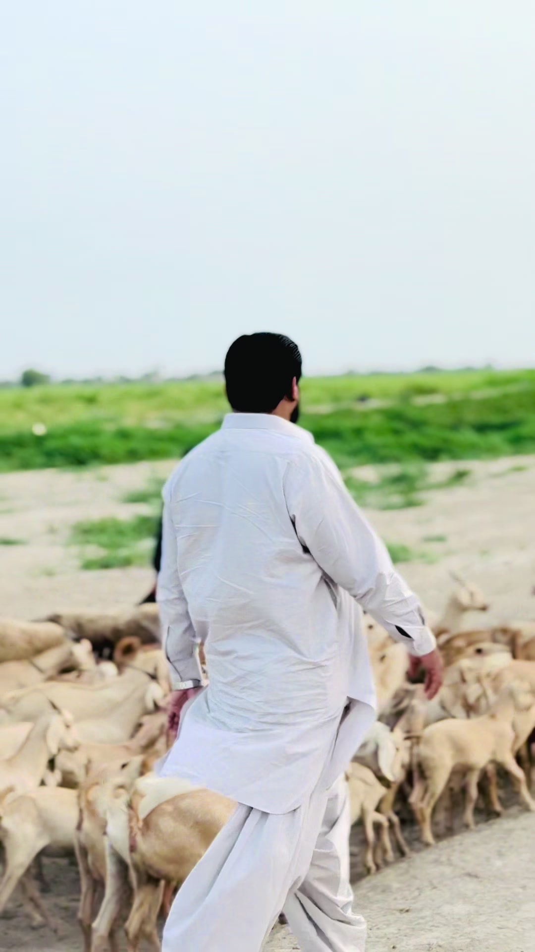 @Darya Khan Mari