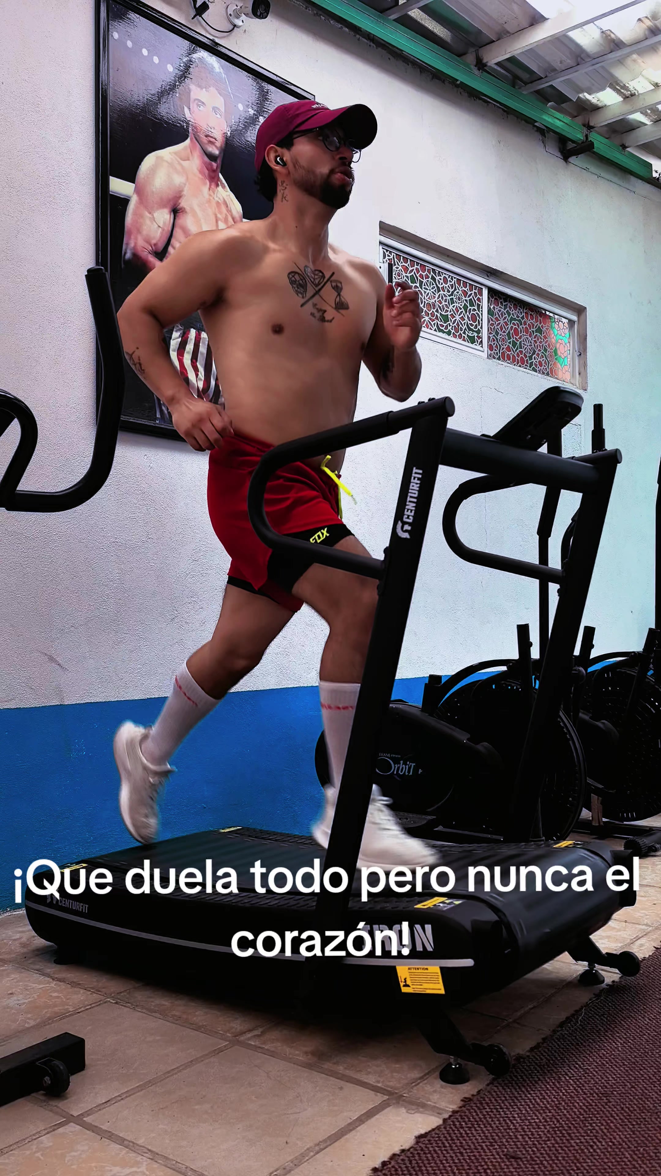 @Vargas 🐺