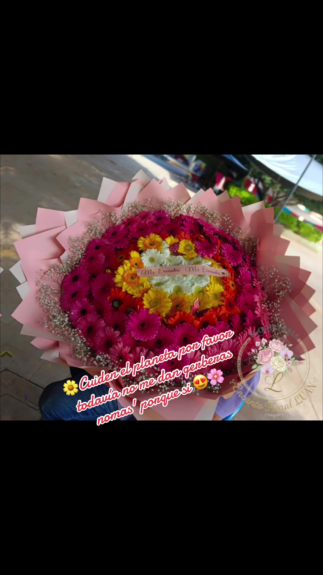 @encanto_floral_luan