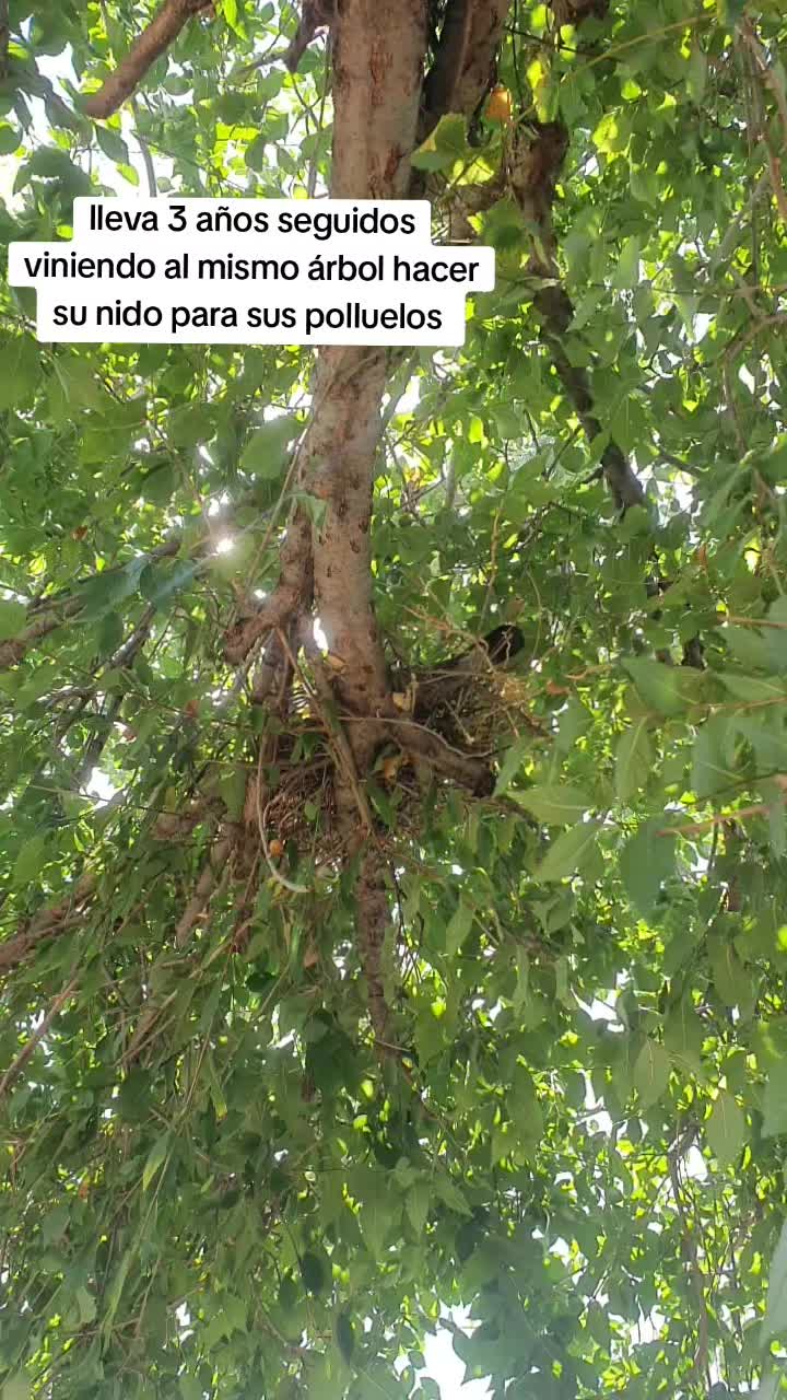 @María