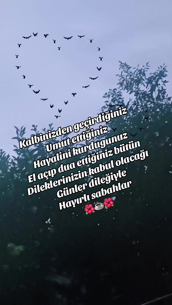 @💙🤍DADAŞ KIZI 25💙🤍