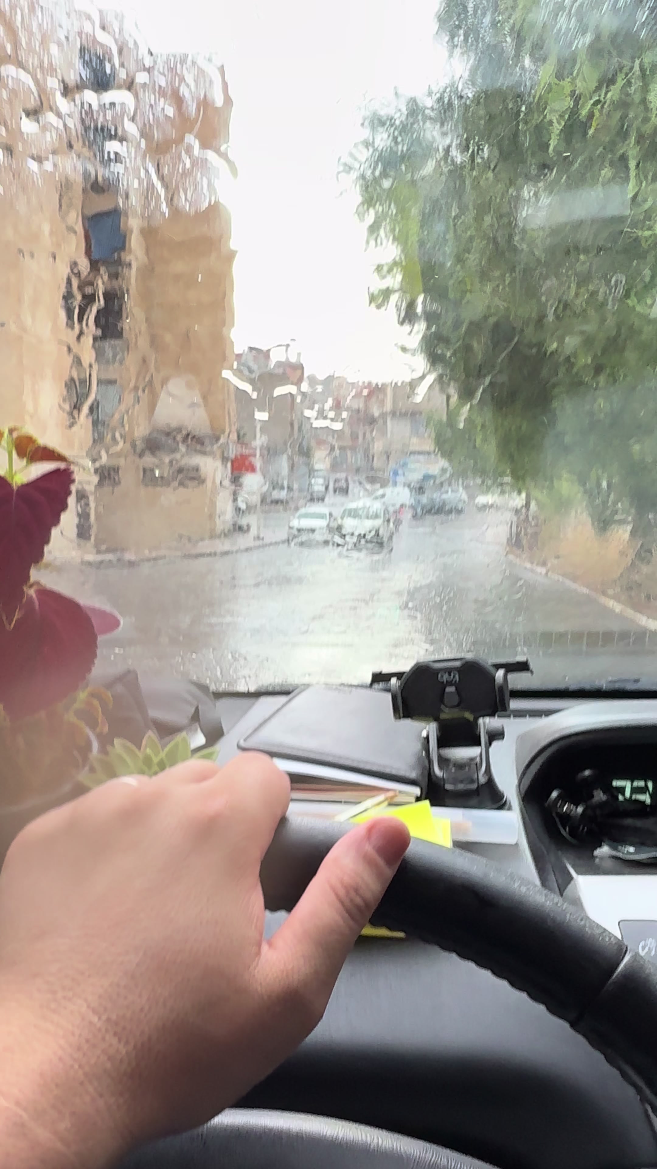 @🇵🇸زُبَير الجَزَاّئِرِي🇩🇿