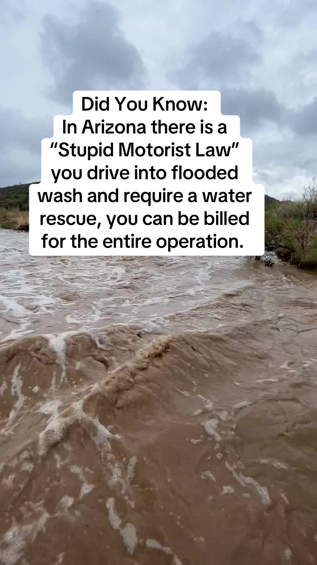 @ArizonaTribe