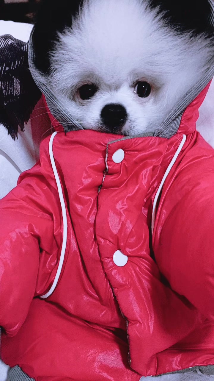 @Девушка из сказки🤗