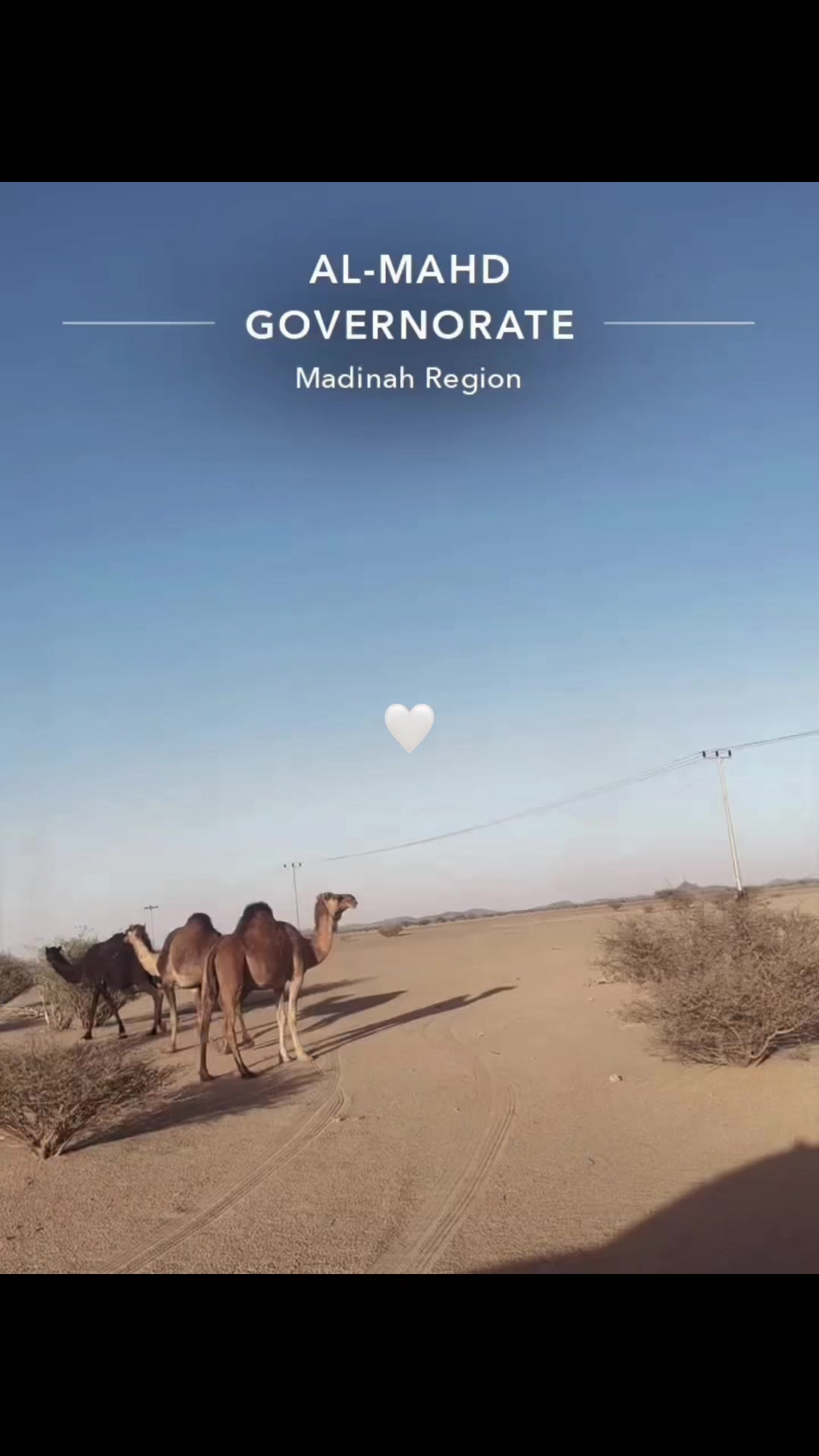 @أمواج المطيري 💙.