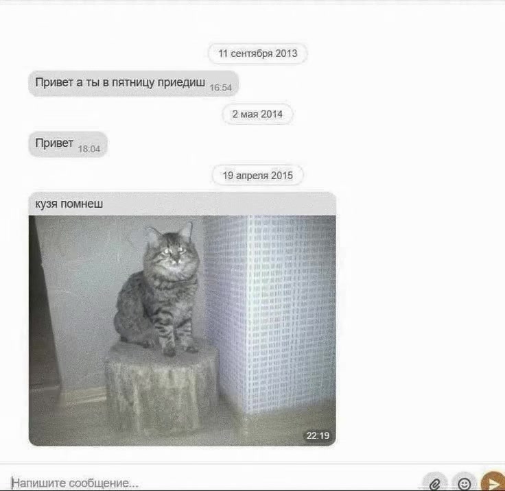 @мысли
