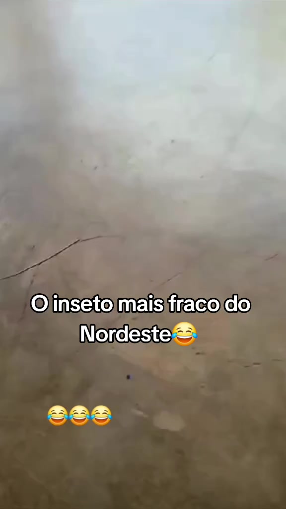 @Amante da natureza