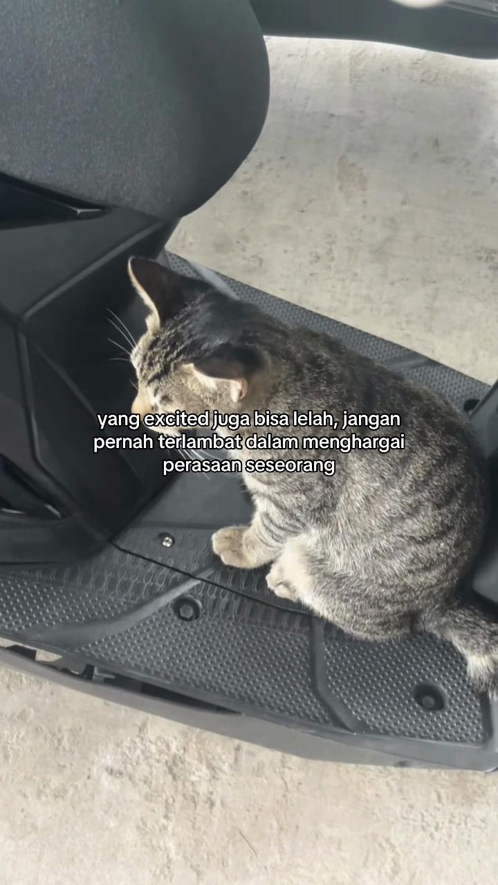 @ndɐp