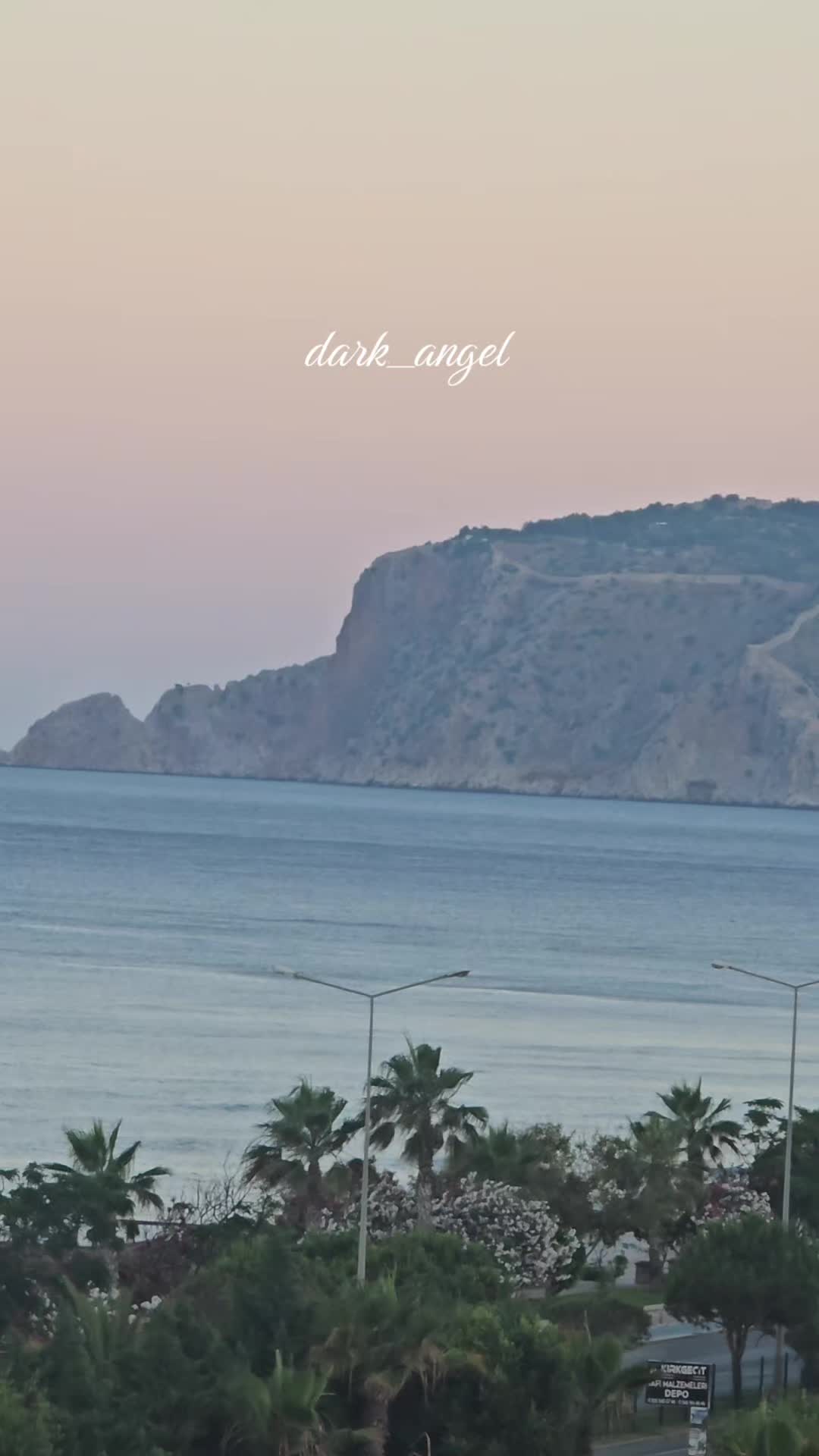 @Dark Angel