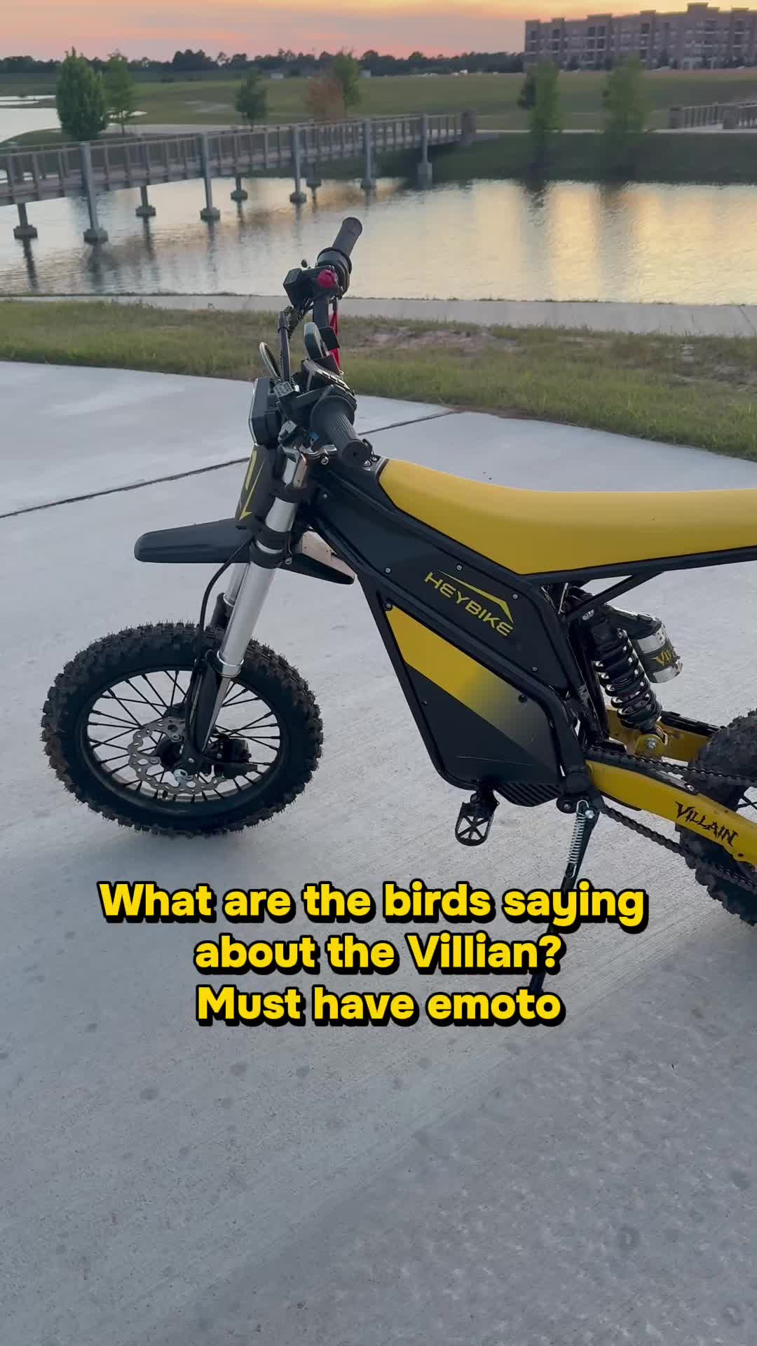 @bar_m_longhorns