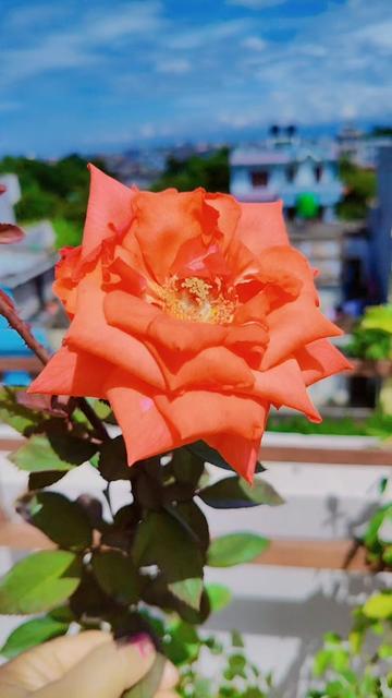 @Sudha Shah