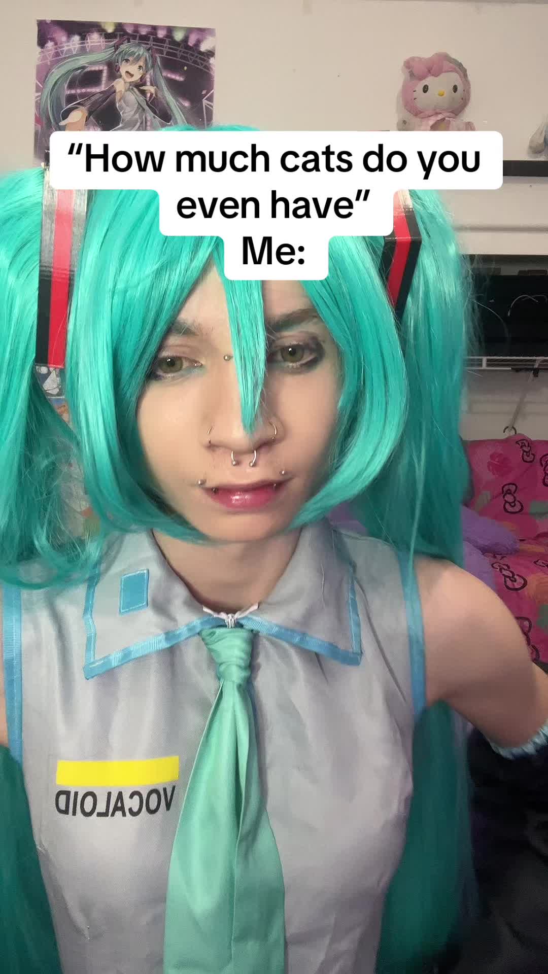 @NyanNumi>_<