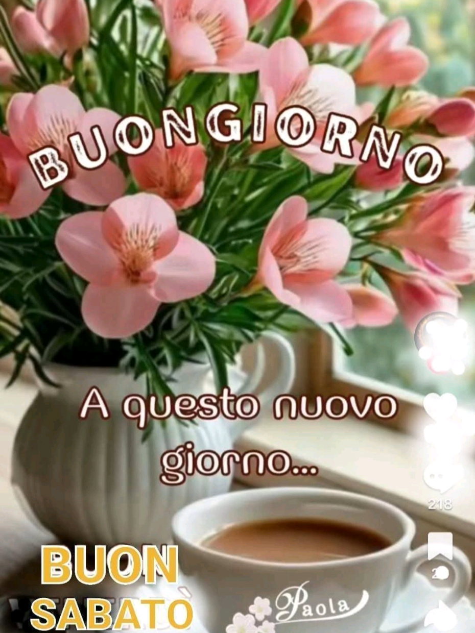 @pinamiano795