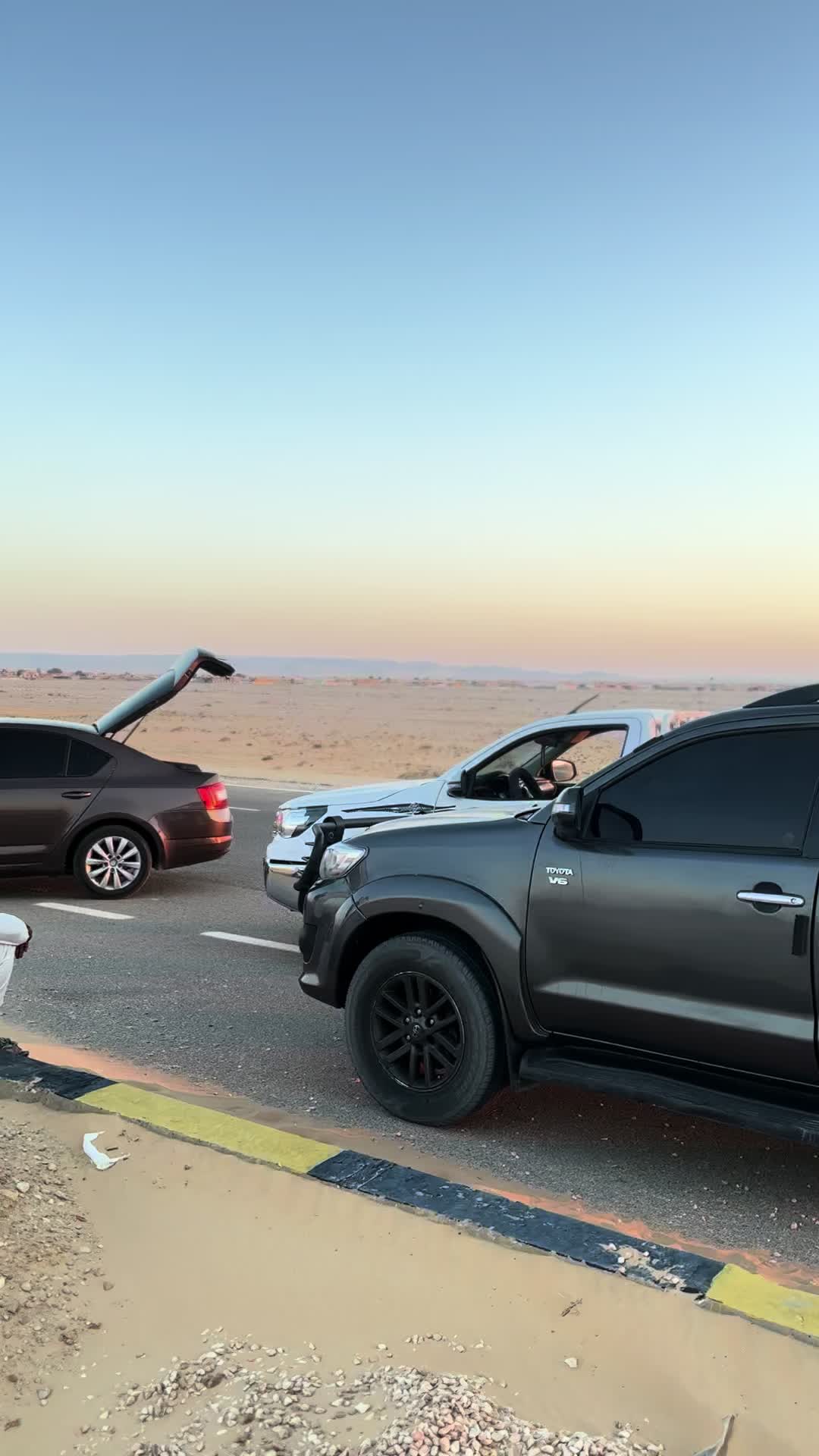 @محمدالاحيوي