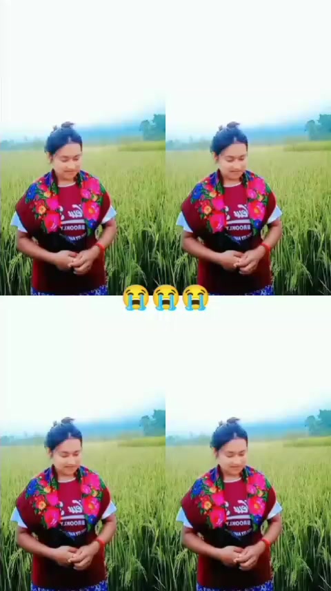 @sangitaxetri11