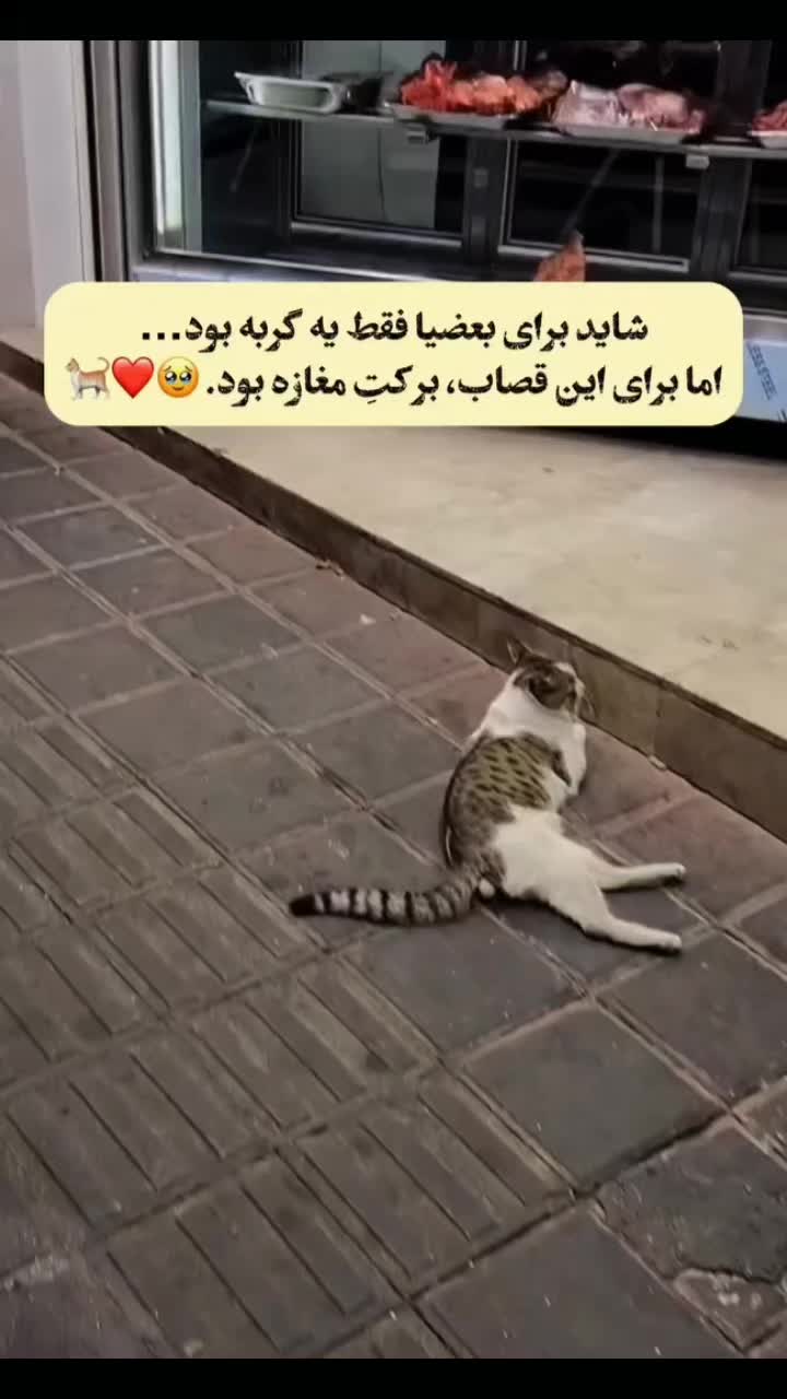 @persian_music