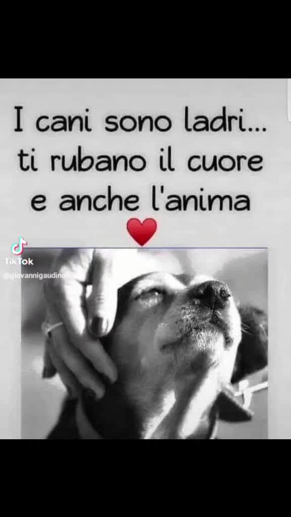 @soniacereghino7