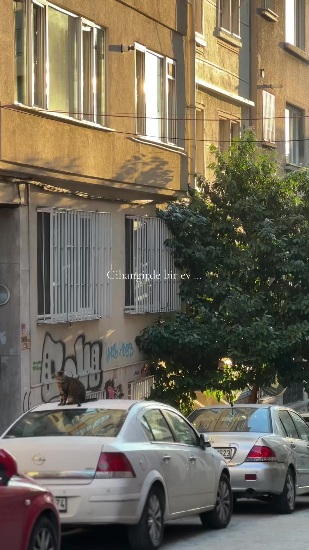 @Yağmur Özçelik