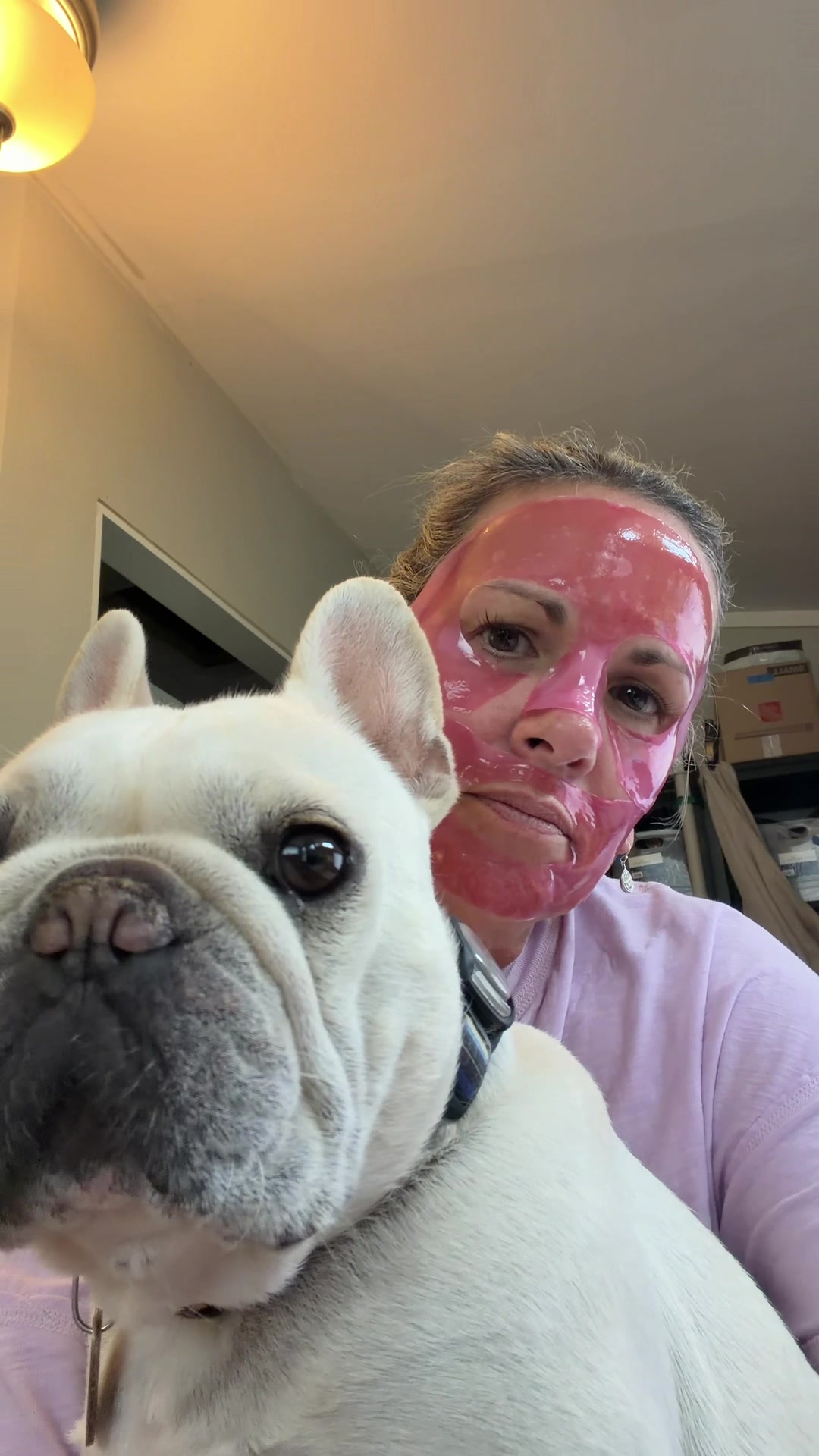 @Bagel the OG Frenchie
