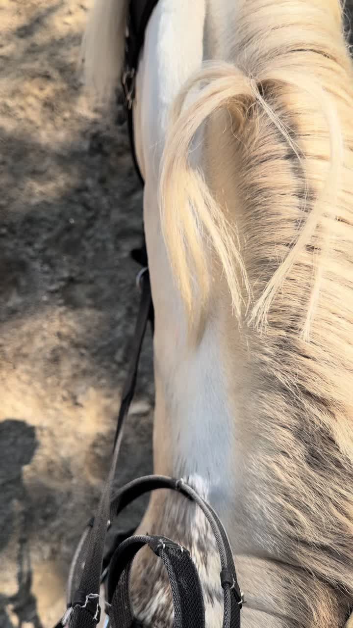 @Ig:lenafurmanczyk