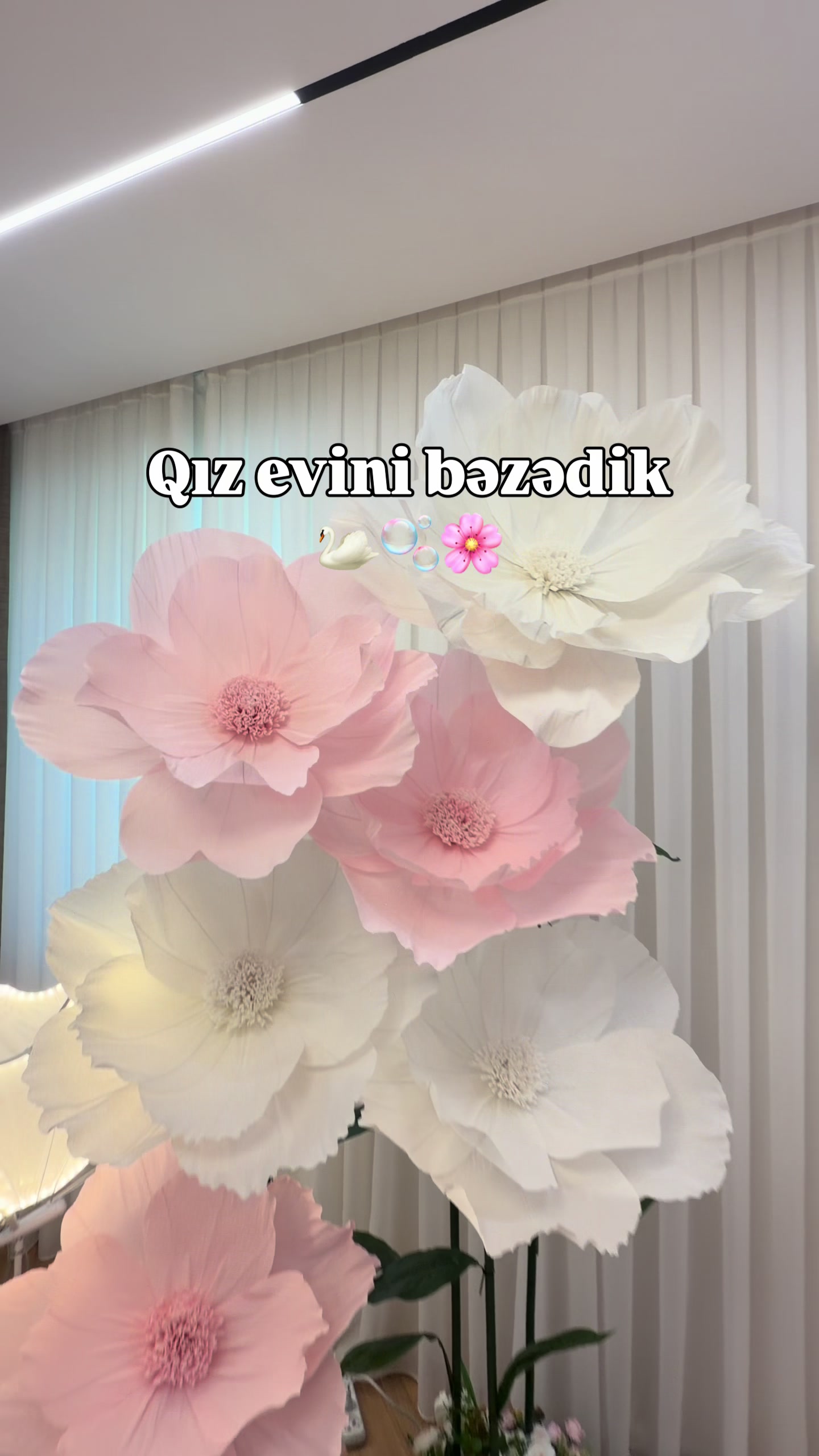 @Dekorist_by_sis