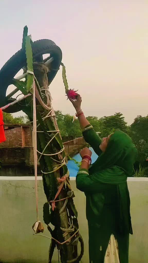 @Shishkala