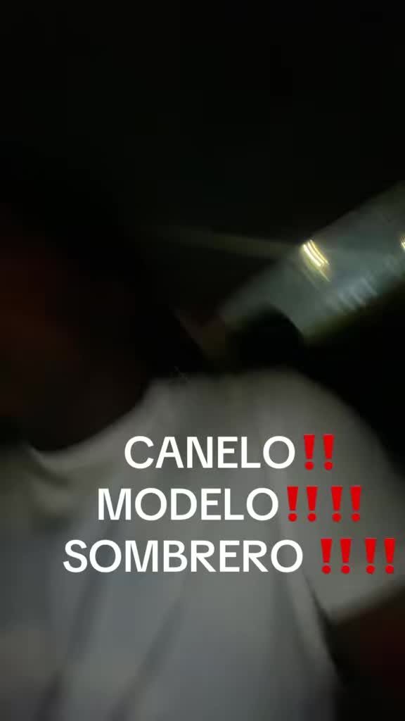 @214Teddy