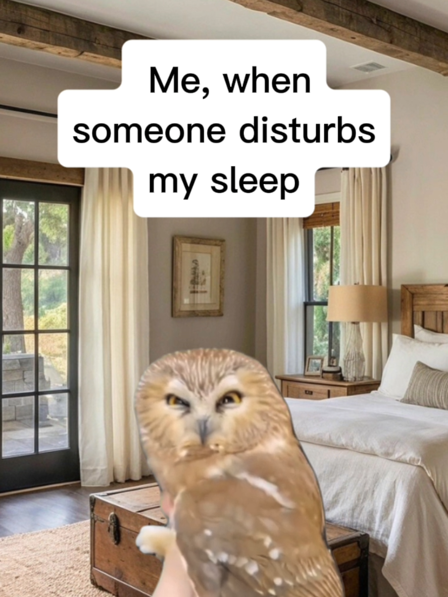 @Steph Roberts